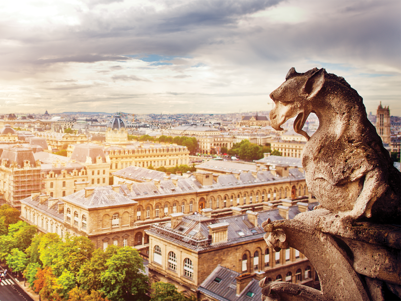 Notre Dame Gargoyle