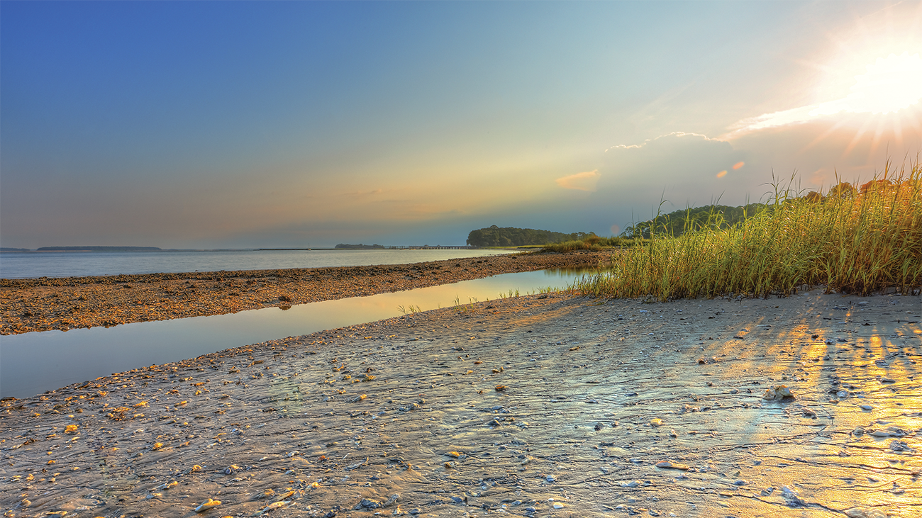 Delightful Day-Trips From Hilton Head