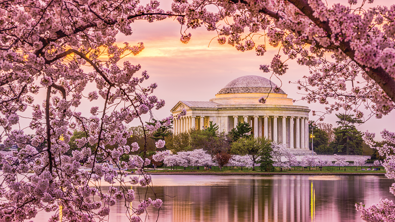 Jefferson Memorial in Spring with Cherry Blossoms