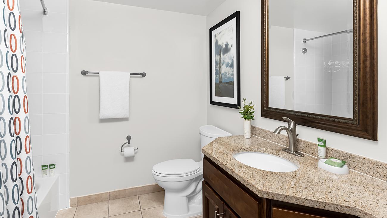 ac-one--or-two-bedroom-villa-master-bathroom-interior-photo