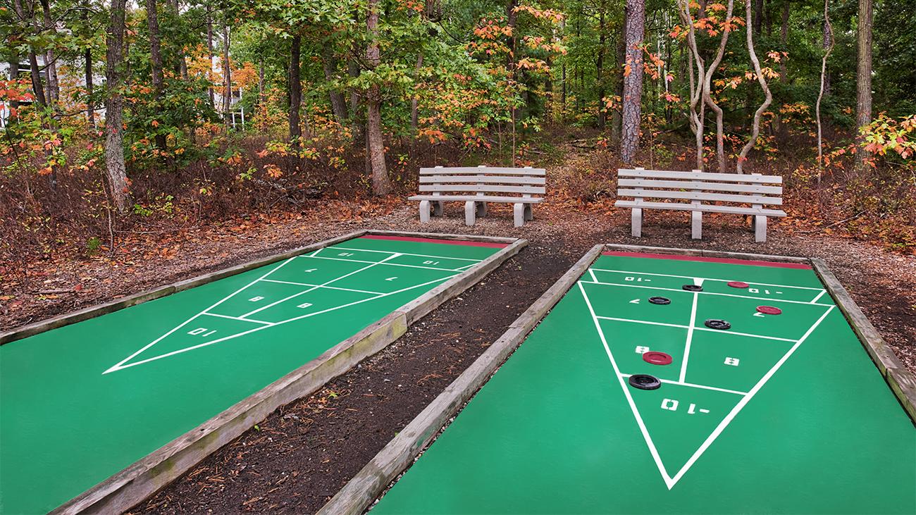Shuffleboard Court