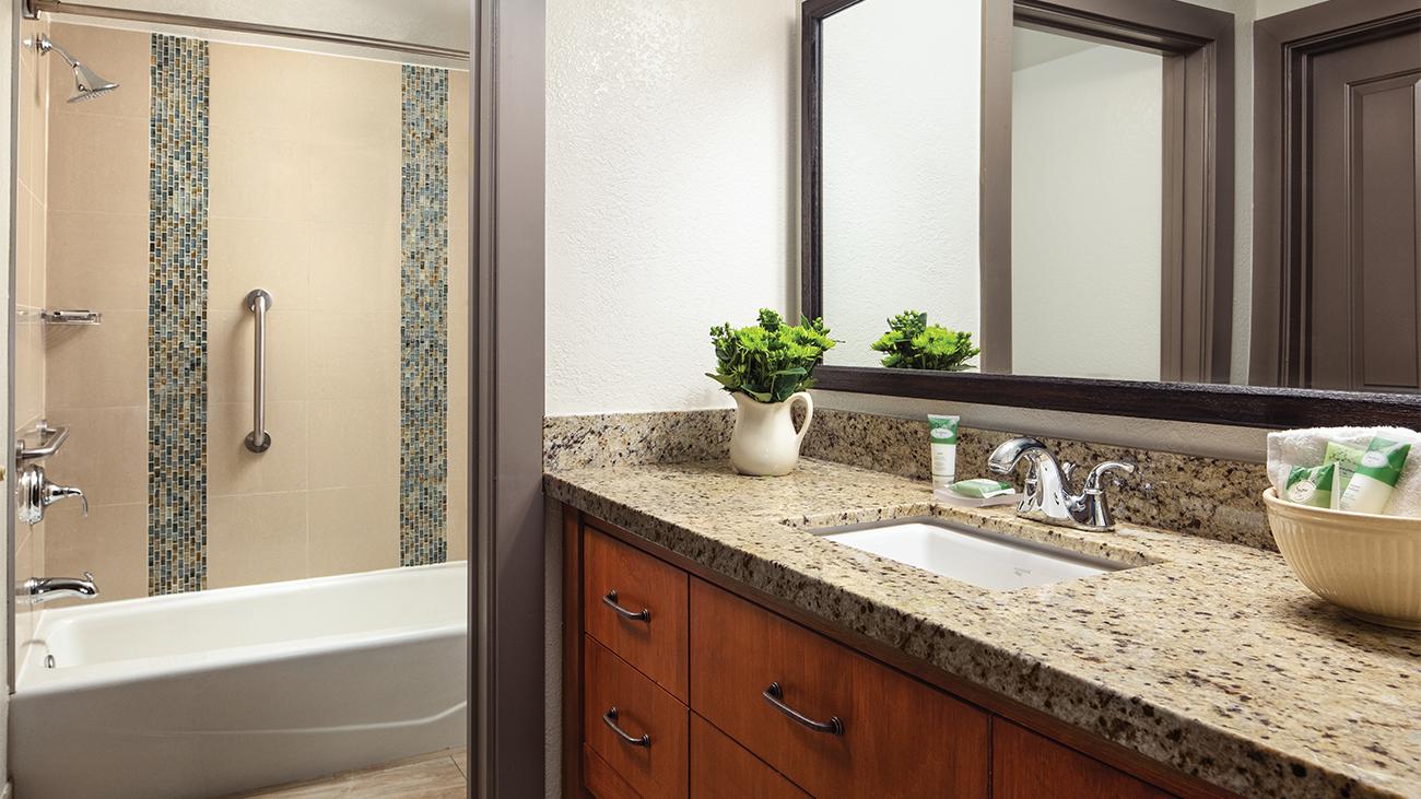 mv-one-bedroom-bathroom-interior-photo