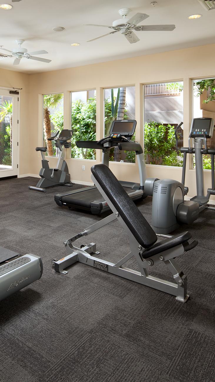 sdo-amenities-sheraton--fitness-main