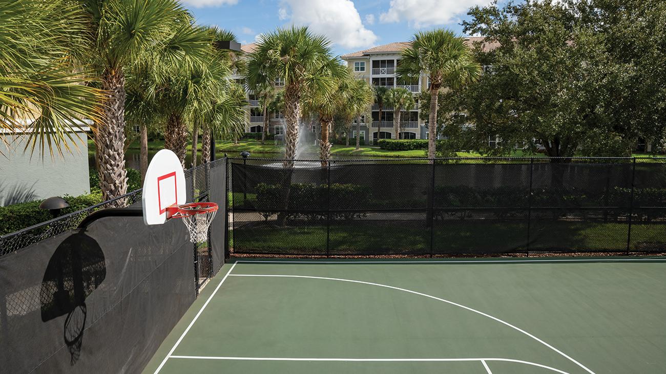 Basketball Court