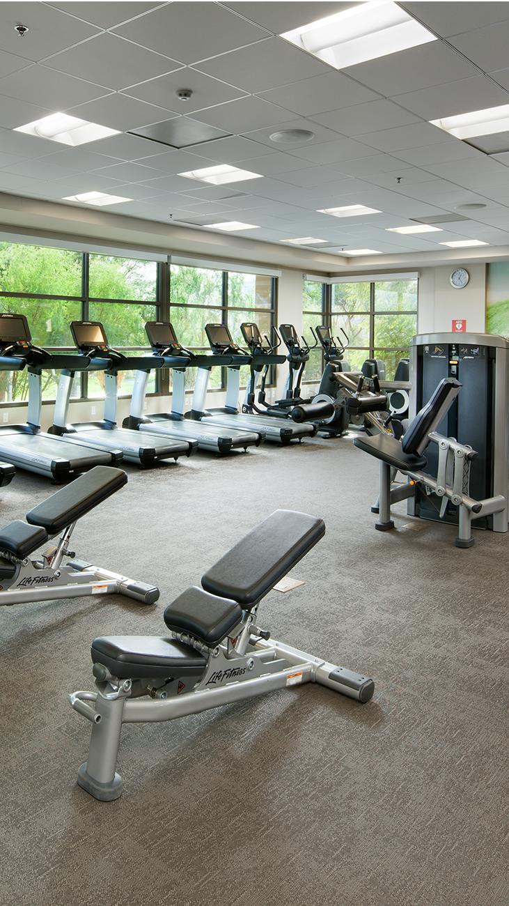 wdw-amenities-westinworkout---fitness-studio-main