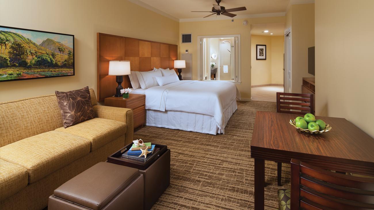 wkorv-studio-premium-living-room-and-bedroom-interior-photo