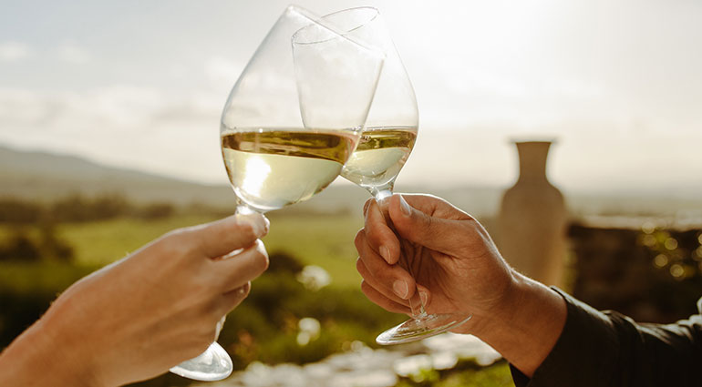 Toasting wine glasses at a vineyard