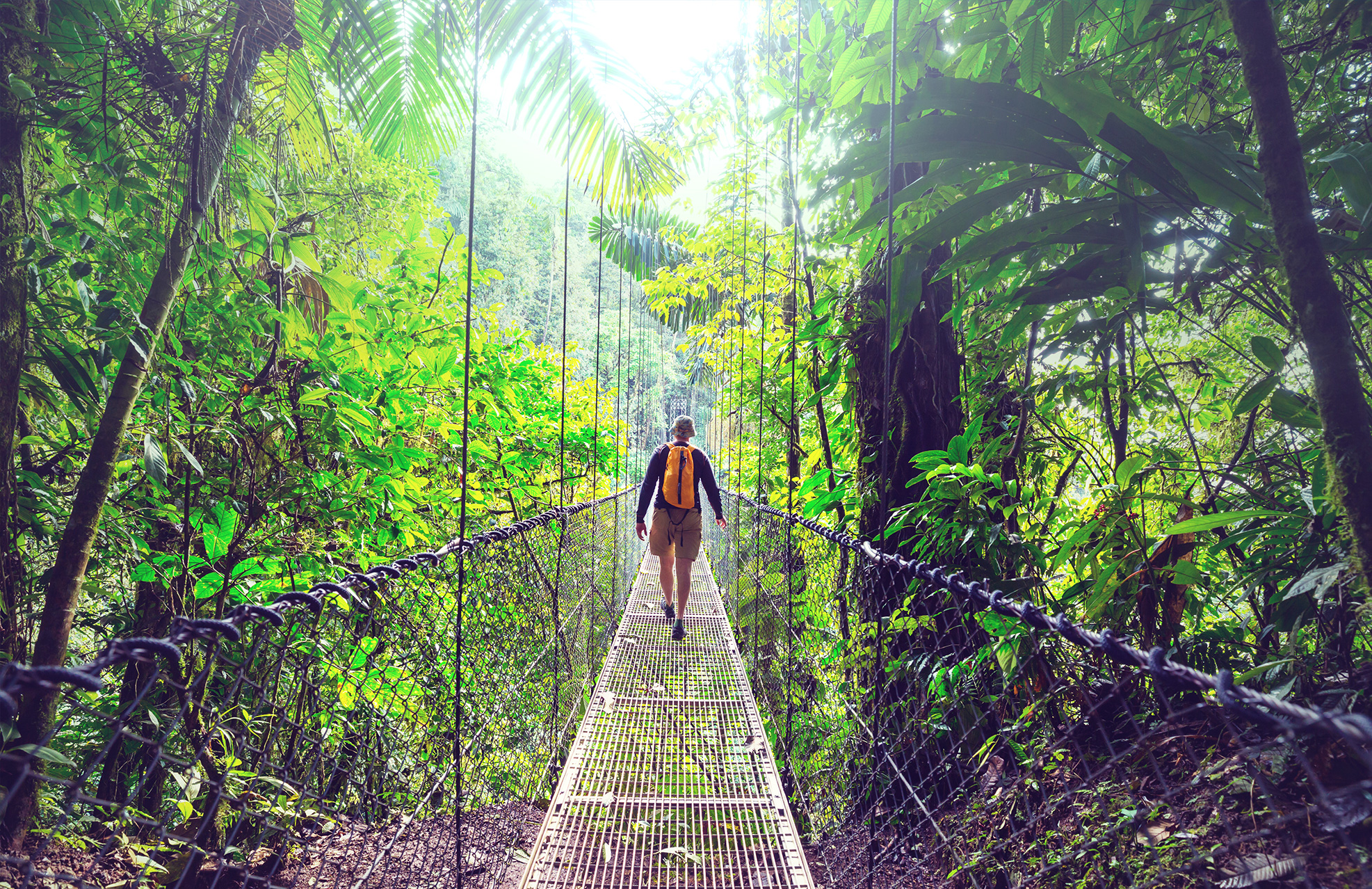 Man walking on a rope bridge in Costa Rica