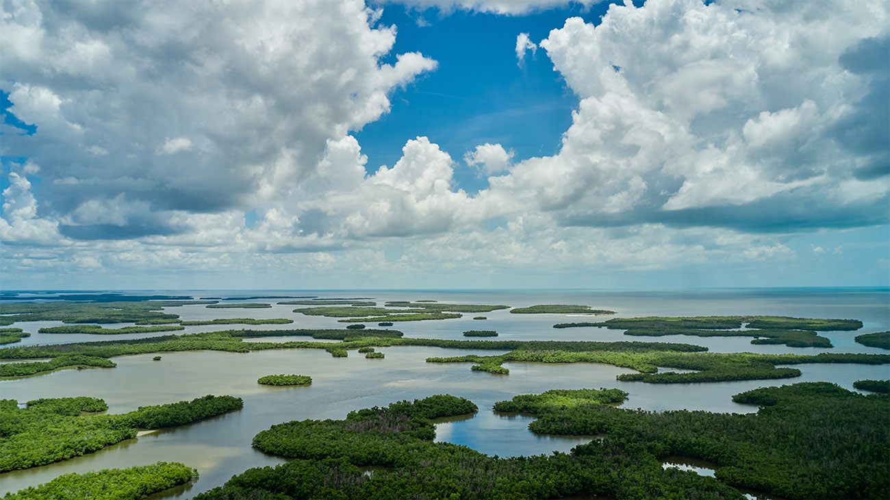 Ten Thousand Islands National Wildlife Refuge, Courtesy Paradise Advertising/Naples Marco Island Everglades CVB