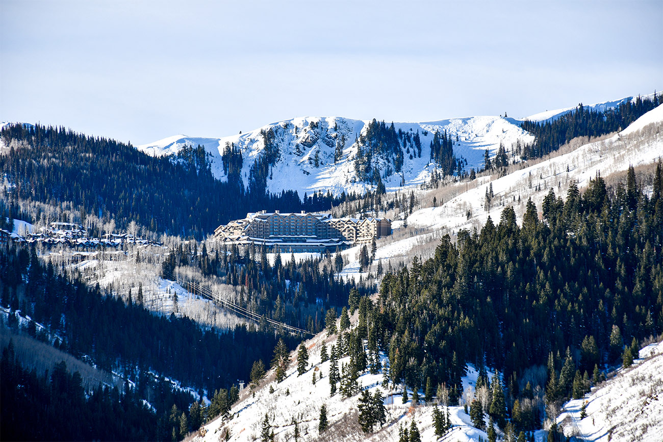 A forest of pine trees sit on the hills of a snow-capped mountain.