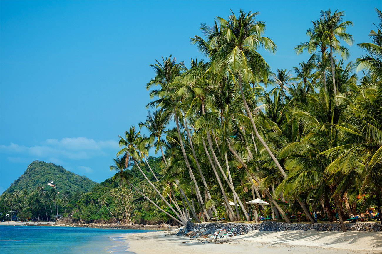 Lush trees cover the land above a small beach where a calm ocean meets the sand.
