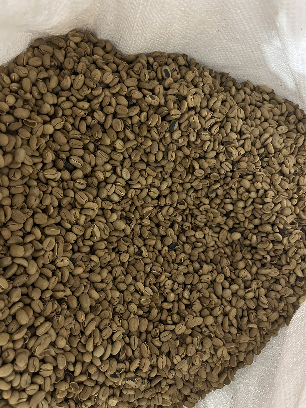 Coffee beans