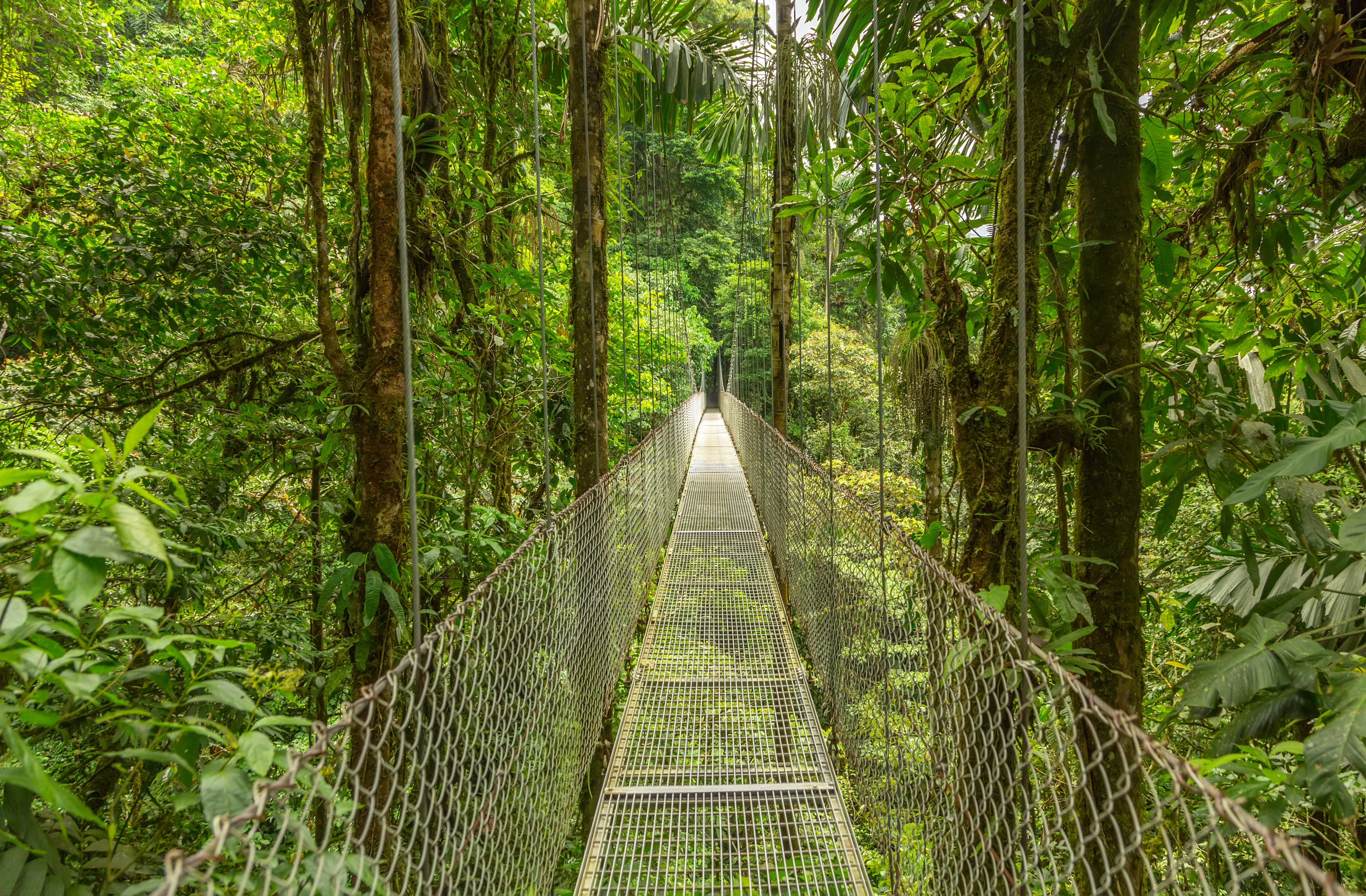 Beyond the Beach: The Top Active Adventures in Costa Rica