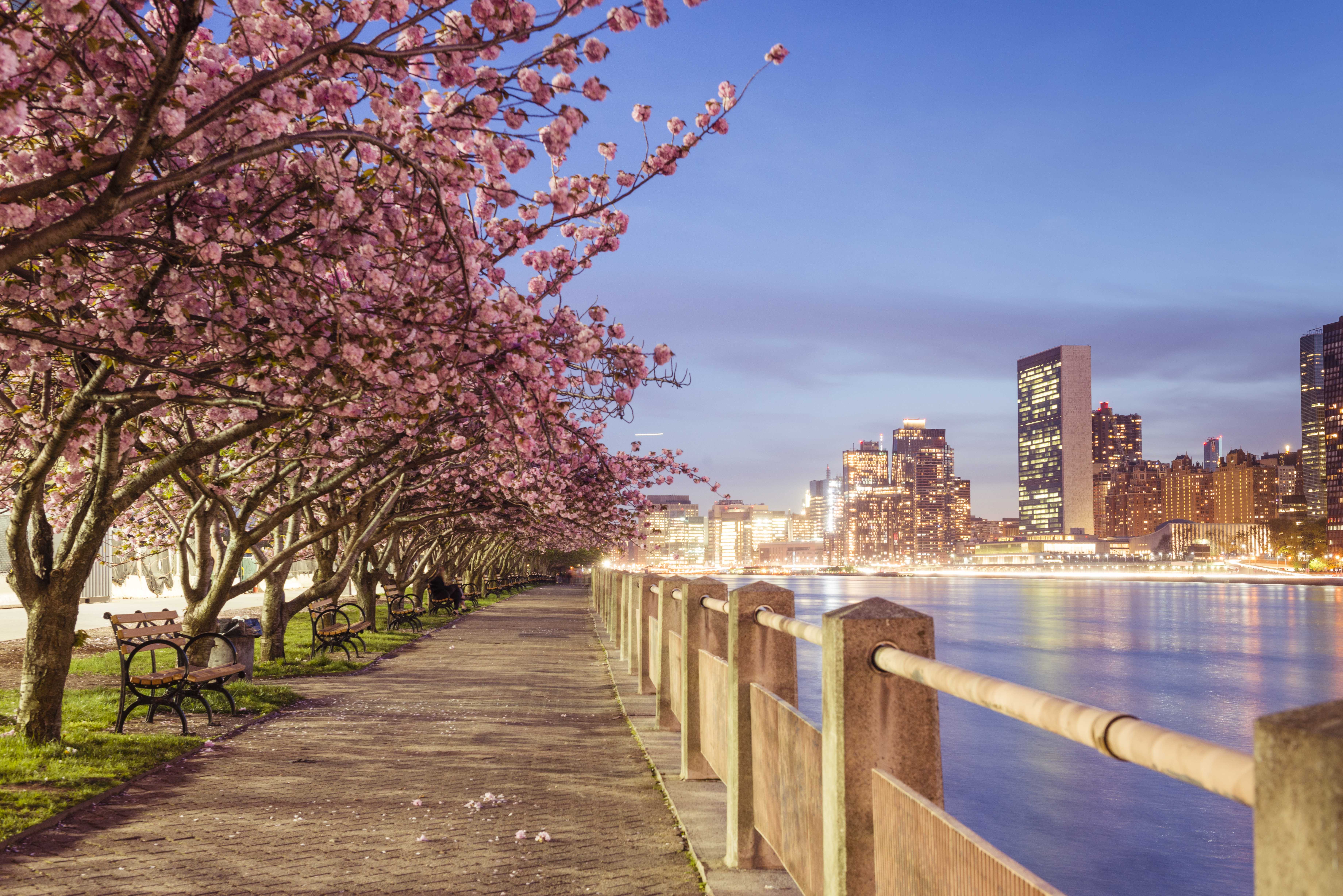 The Best Places to Celebrate Spring in New York City