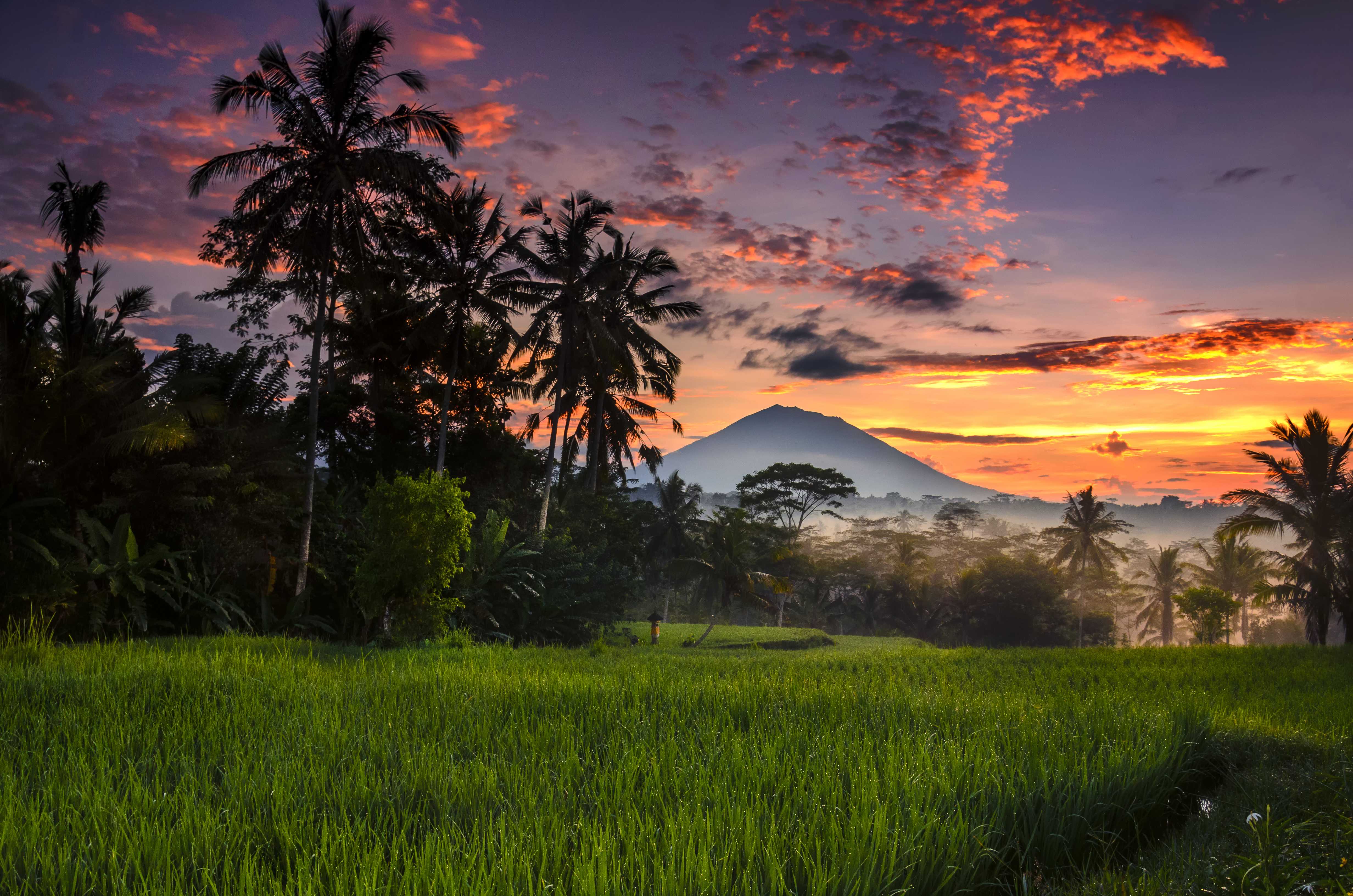 To-Do List: Seven Ways to Explore Ubud, Bali